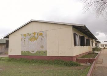 Alerte au village SOS draria, La détresse des orphelins