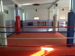 Boxe/mondiaux féminins 2015 : La sélection algérienne en regroupement à Souidania