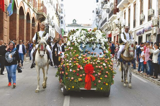 Capitale de la culture arabe depuis une semaine, Cirta a-t-elle été au rendez-vous ?