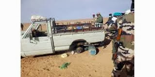 Contrebande et crime organisé, Des contrebandiers et immigrants clandestins arrêtés