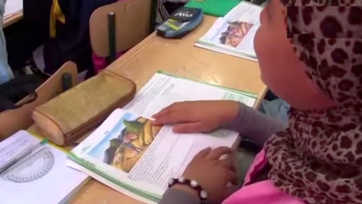 De nouveaux moyens pour développer davantage l’enseignement de Tamazight (HCA)