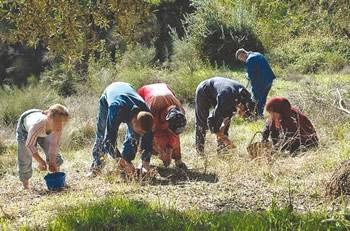 Décidés à reprendre leurs oliviers par tous les moyens, Les villageois d’Aït Mendès crient leur désespoir