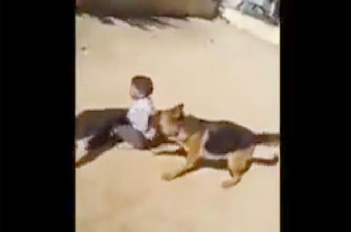 Des groupes de pressions à l’APN bloqueraient la promulgation les lois contre la violence