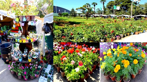 Floralies d’Oran: un savoir-faire d&rsquo;étalage de plantes locales