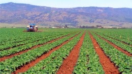Forum international sur les bio-intrants, mardi à Oran