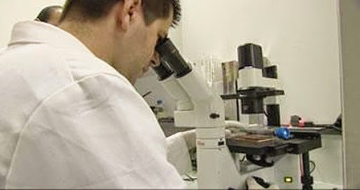 Fuite des cerveaux, ce mal qui érode l’économie nationale