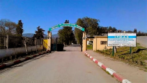 ’ITMAS, un acteur incontournable dans la formation aux métiers agricoles