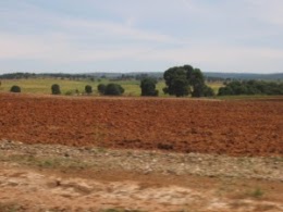 La croissance du secteur agricole a atteint un taux moyen de 11% durant le quinquennat 2010-2014