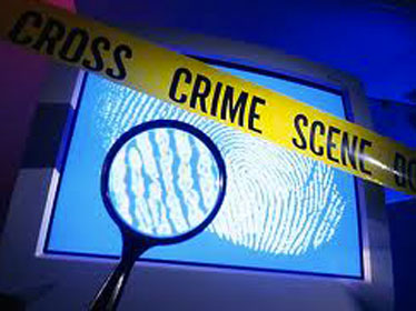 La cybercriminalité prend de l’ampleur : une personne sur deux exposée au piratage