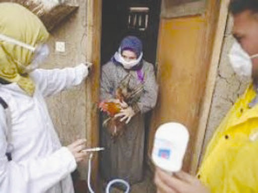 La grippe a tué 27 personnes durant le premier trimestre 2015