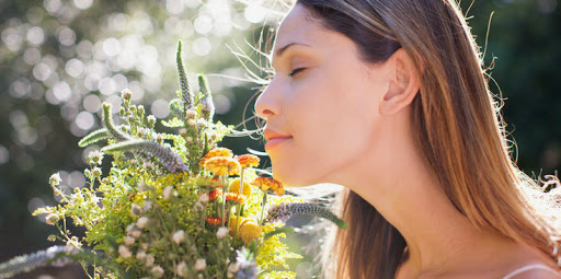La phytothérapie, je me lance ?