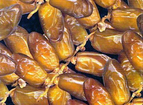 L’Algérie a exporté pour 316 millions de dollars de produits agricoles en 2014