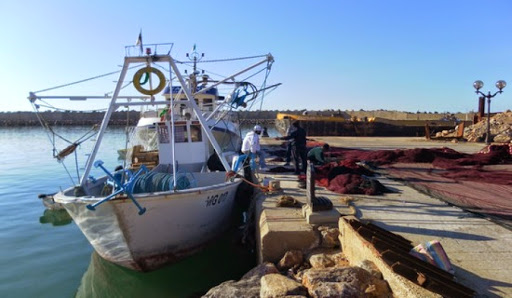 Oran: concertation sur la bonification des crédits aux activités liées à la pêche