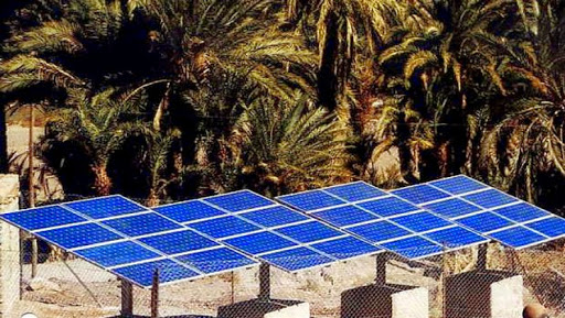 Ouargla : encourager l’utilisation de l’énergie solaire dans l’irrigation agricole au Sud