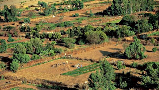 Renouveau rural: 7 millions de personnes supplémentaires concernés par le quinquennat 2015-2019