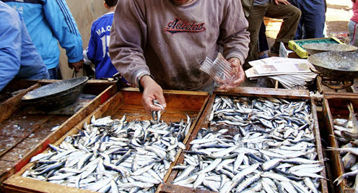SECTEUR DE LA PECHE: Violations récurrentes du repos biologique à Mostaganem