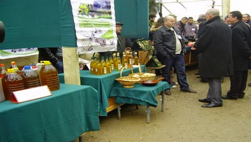 Tizi-Ouzou : organisation de la première foire d’huile d’olive du 12 au 15 mai