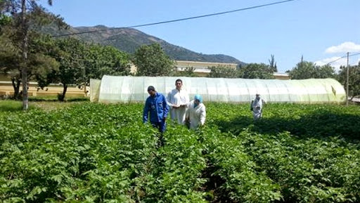 Un institut de formation aux métiers agricoles dès la prochaine rentrée à El Tarf