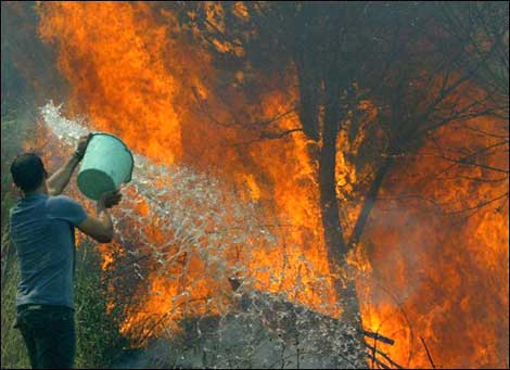 Aïn Temouchent: 38 hectares de superficies céréalières ravagées par les flammes ces derniers jours