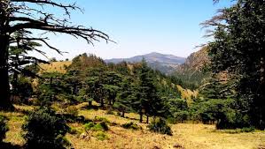 Batna : le parc de Belezma dans un réseau mondial de protection de l’environnement