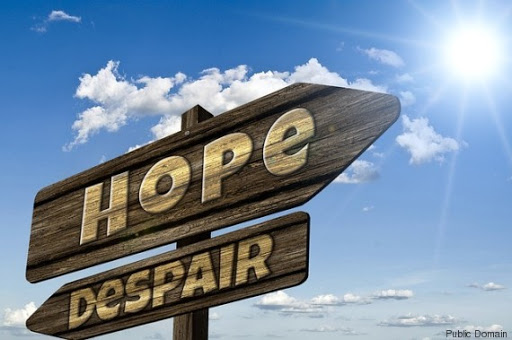 Des bourses à l&rsquo;étranger à durée indéterminée pour fils de ministres algériens