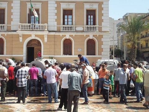Des éleveurs bovins en colère distribuent leur lait gratuitement à Tizi Ouzou