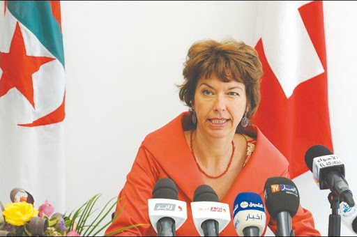 Fixation des migrants nigériens retournés depuis l’Algérie, La Suisse s’implique avec des microprojets