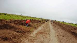 GHARDAÏA : 200 km de pistes agricole réalisées