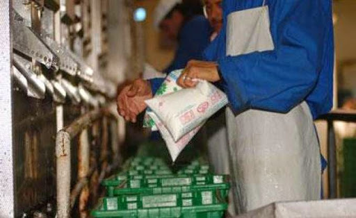 Ils sont en grève depuis quelques jours,  L’inflation dans les prix du fourrage met en péril les producteurs de lait cru