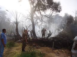 Incendie dans une oasis du quartier de Djahil