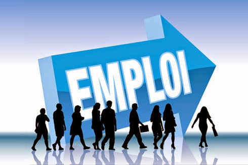 Installation de la commission nationale de la promotion de l’emploi, Les ambitions «limitées» du département du travail