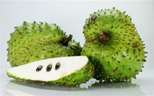 Le Corossol 100 fois plus fort pour tuer le cancer que la chimiothérapie