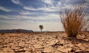 Les effets du réchauffement climatique sur l&rsquo;Algérie sont « alarmants »