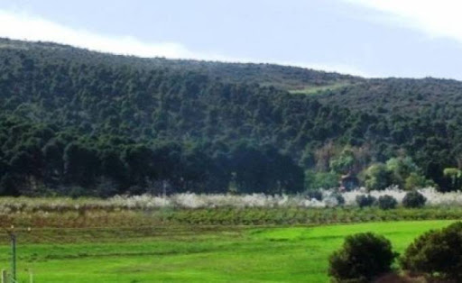 Pressions sur les ressources forestières, De nouvelles mesures réglementaires en attente