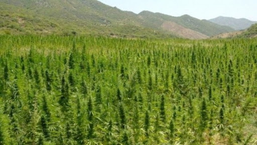 Rattraper le retard dans la réalisation de la voie ferrée Touggourt-Hassi Messaoud