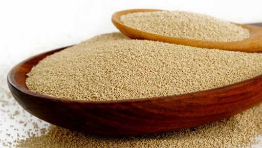 Réalisation d’une nouvelle usine à Jijel pour relancer l’industrie de la levure en Algérie