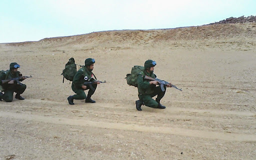 TIARET : Vaste opération de ratissage menée par les forces de l’ANP