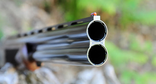 a cause d’un differend sur un lopin de terre : trois personnes tuées avec une arme à feu à tissemsilt