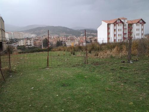 Algérie : 35 constructions bâtisses construites sur un terrain agricole démolies à Constantine