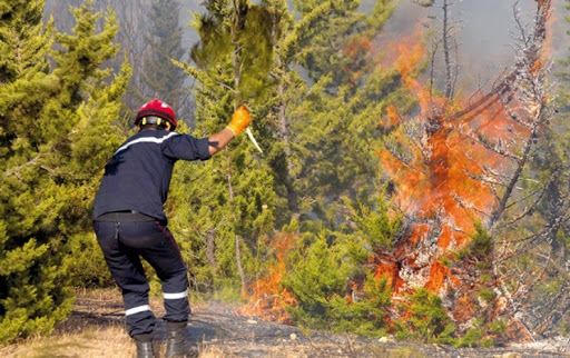 Blida: installation de la colonne mobile de lutte contre les incendies de forêts