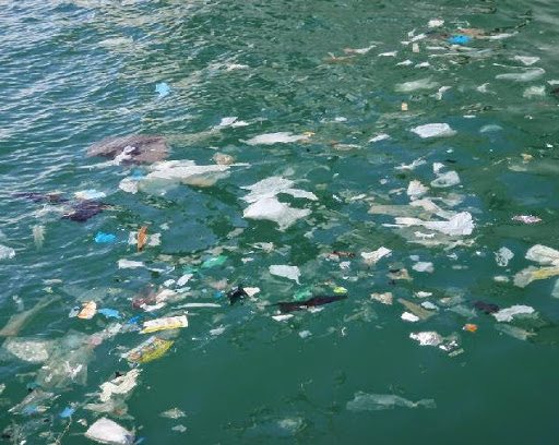 Environnement : L’Algérie, un des pays les plus pollueurs au monde