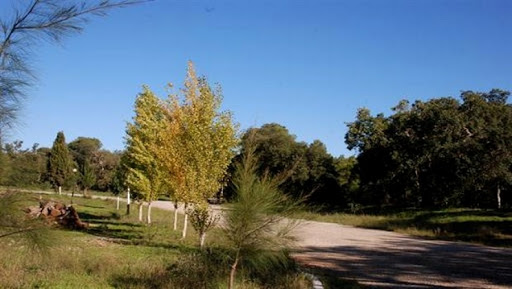 Eté 2015 : rush vers la forêt de Maâdhid et la Kalaâ de Beni Hammad à M’sila