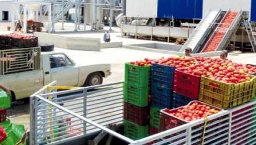 La dynamique de la filière tomate doit conduire à l&rsquo;exportation (ministre)