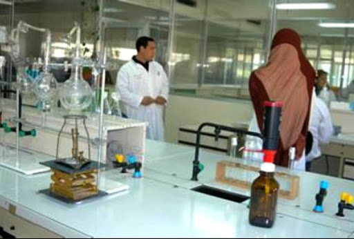 L&rsquo;Académie algérienne des sciences et des technologies: un espace scientifique « autonome » de haute compétence