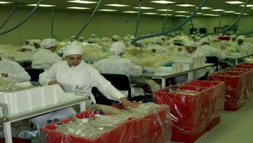 Le FCE préconise des mesures urgentes, Cap sur une nouvelle dynamique à l’investissement productif