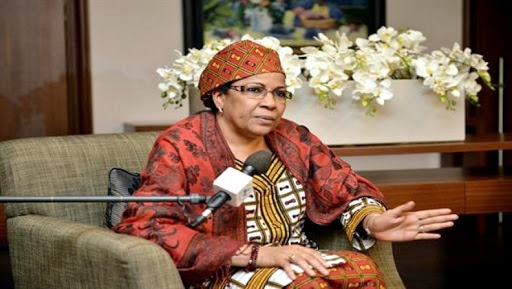 Le Niger apprécie les efforts « énormes » de l&rsquo;Algérie pour une sous-région stable