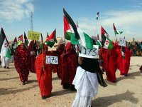 Monde Décolonisation du sahara occidental – Mohamed lamine ahmed, président de l’université d’été des cadres sahraouis « Nous avons perdu confiance en l’ONU »