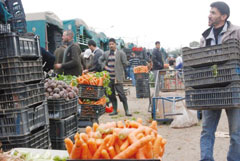 Pour stabiliser les prix des fruits et légumes : des chambres froides et des unités de transformation s’imposent