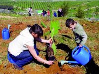 Tizi Ouzou El Hayat, une association dédiée à l’environnement