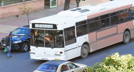 Transport scolaire, Le secteur ouvert au privé